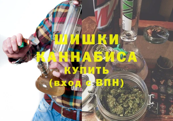 хмурый Михайловск