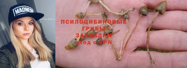 хмурый Михайловск