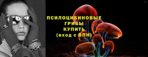 хмурый Михайловск