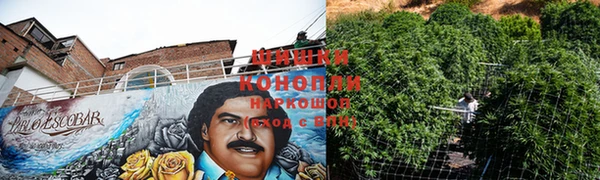 PSILOCYBIN Белокуриха