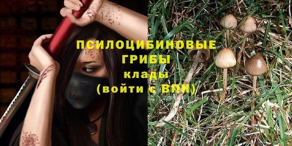 spice Белоозёрский